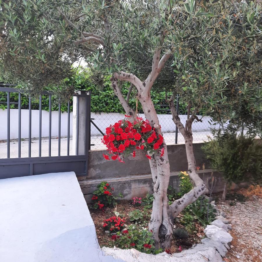 Studio Apartman Mare Trogir Exterior foto